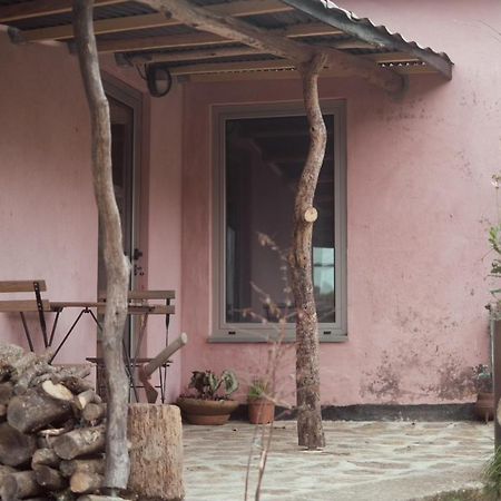 Cabana Do Dinamarques Em Arga De Baixo Ngoại thất bức ảnh