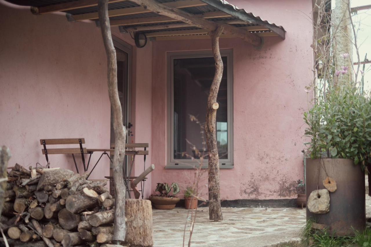 Cabana Do Dinamarques Em Arga De Baixo Ngoại thất bức ảnh