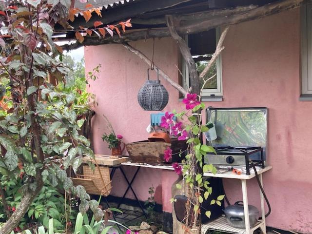 Cabana Do Dinamarques Em Arga De Baixo Ngoại thất bức ảnh